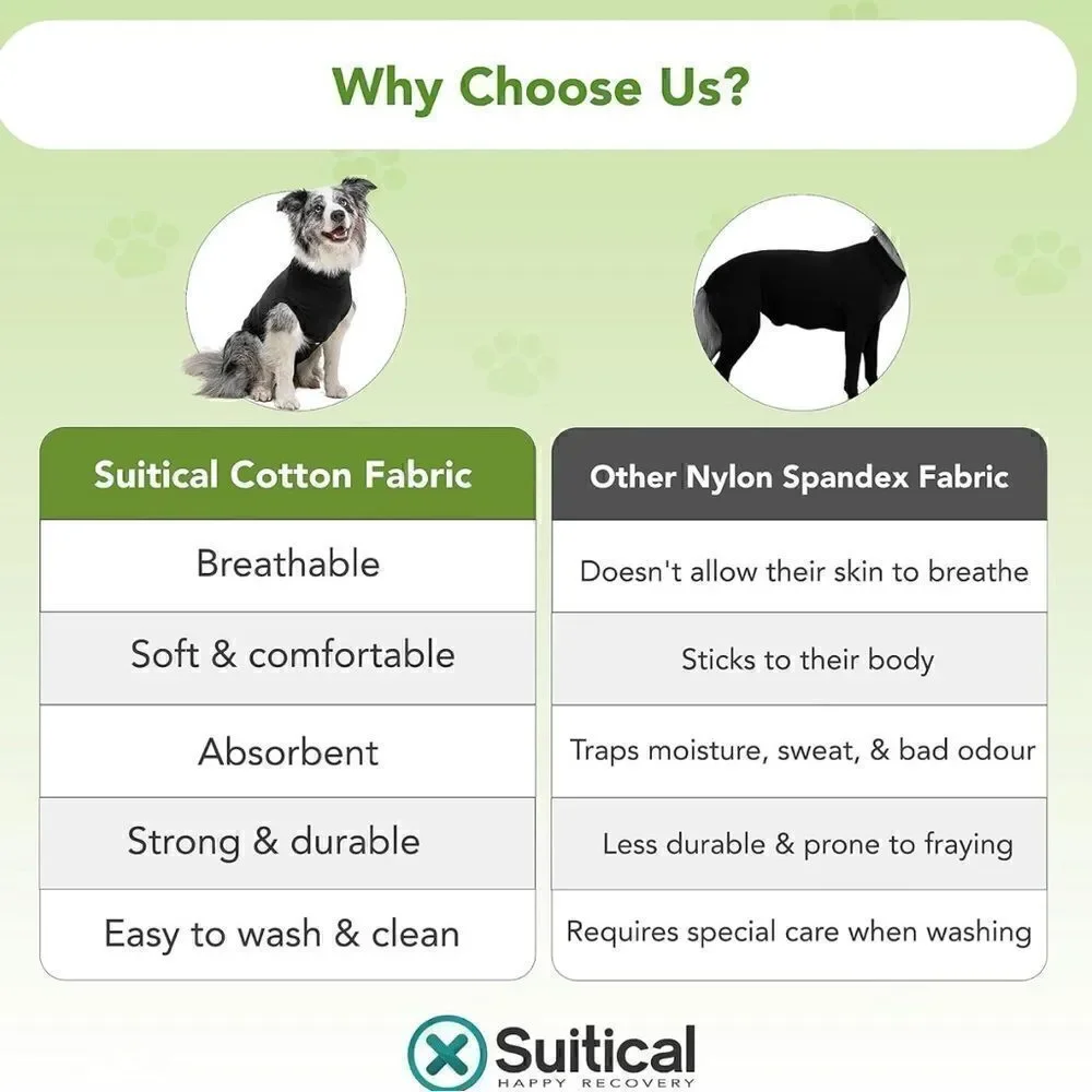 Suitical our dog